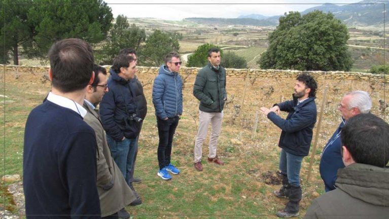 a-pie-de-vina-bodegas-amaren-luis-canas